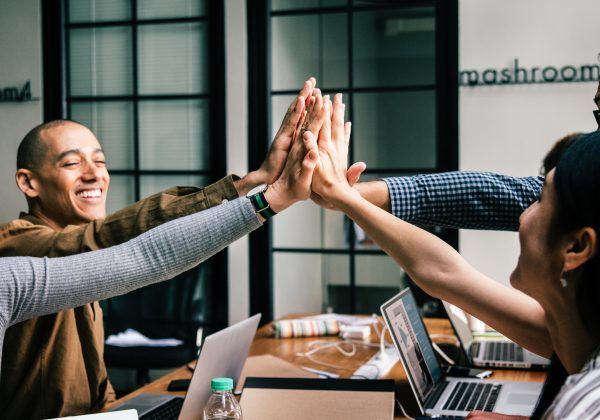 SEO Consultant Haarlem