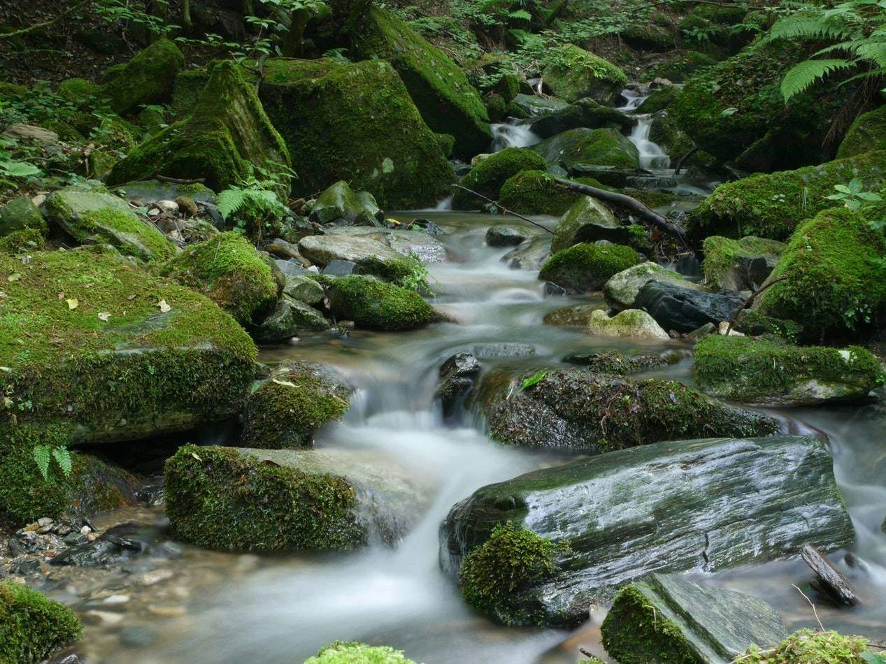 Wat is Trust Flow (TF)?