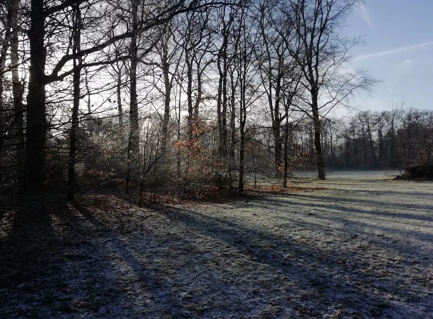 seo-zeist